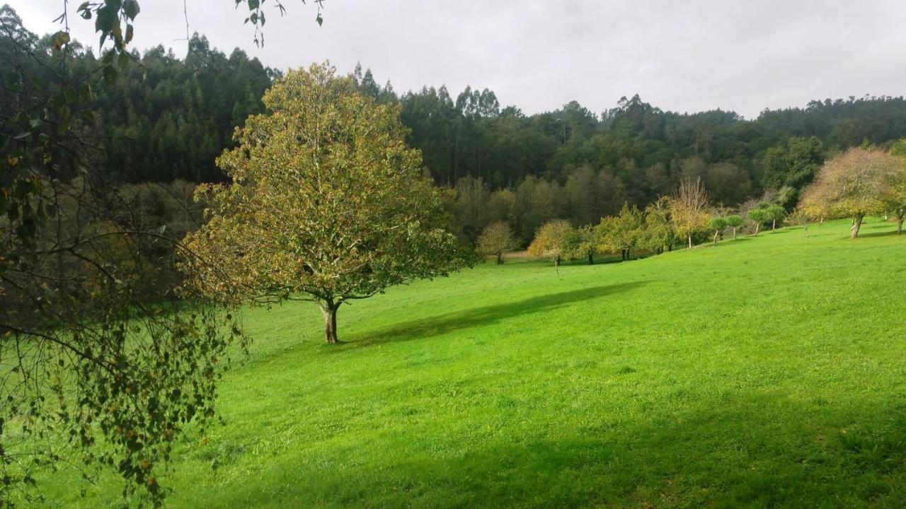 Casa Rural Grana Da Acea Monfero Екстер'єр фото